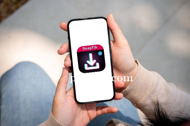 Cara Pakai Snaptik untuk Download Video TikTok Cepat